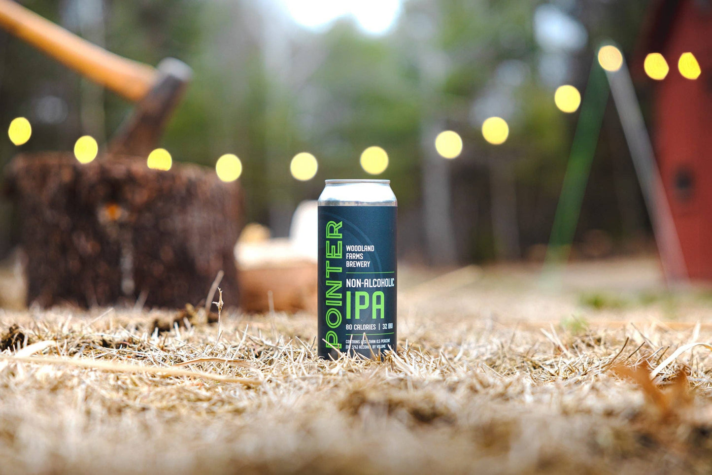 Pointer - IPA (4 pack, 16 oz cans)