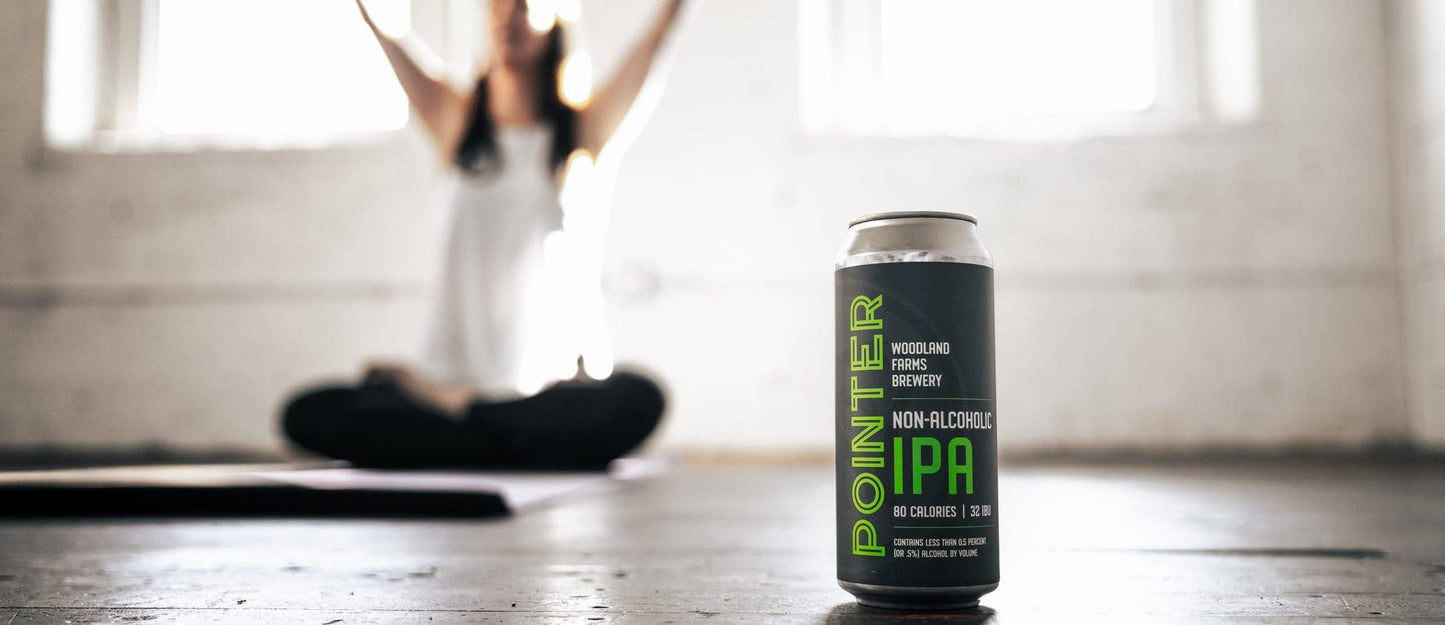 Pointer - IPA (4 pack, 16 oz cans)