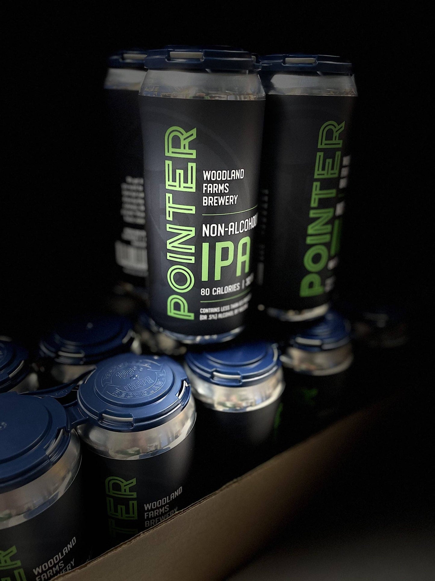 Pointer - IPA (4 pack, 16 oz cans)
